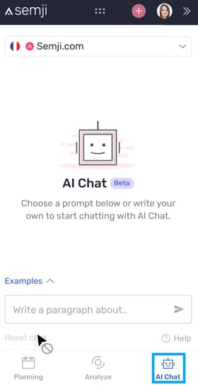 AI chat EN